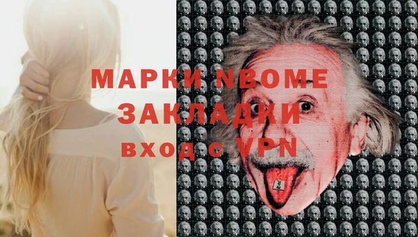дживик Няндома