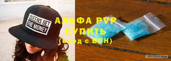 дживик Няндома