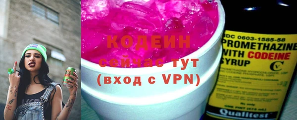 дживик Няндома