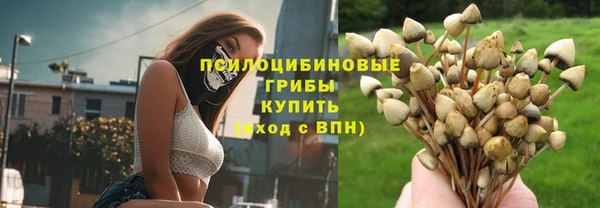 стафф Апатиты