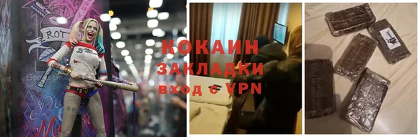 дживик Няндома