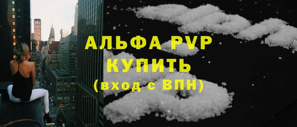 дживик Няндома