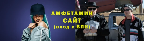 дживик Няндома