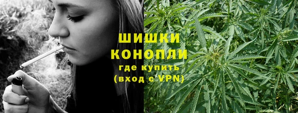 дживик Няндома