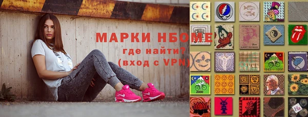 дживик Няндома
