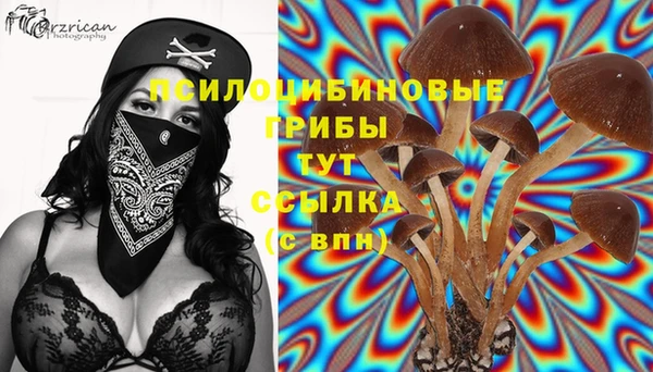 а пвп мука Осинники
