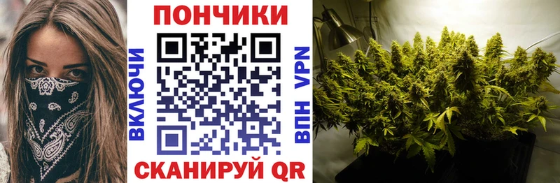 Бошки марихуана Amnesia  Анадырь 